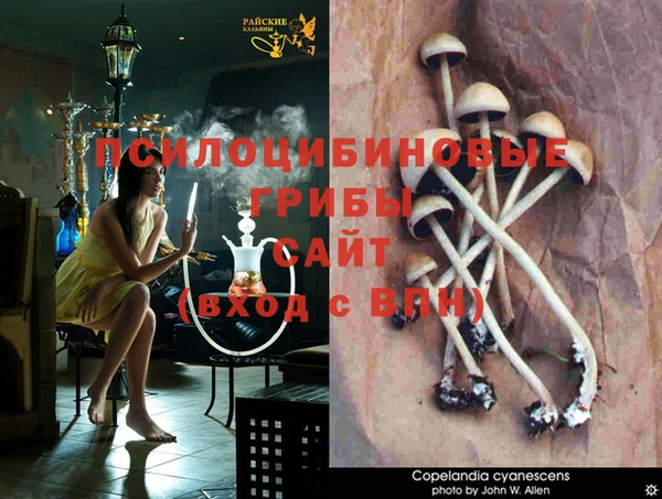 кокаин Алзамай